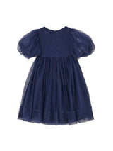 Starlight Serenade Tulle Dress