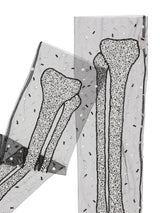 Bone Appetit Leggings