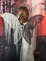 Fallen Light Wings