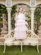 Aurora Veil Tutu Dress