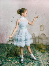 Coastal Glow Tutu Dress