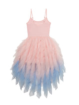 Ringmaster Tutu Dress