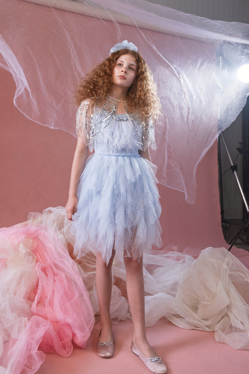 Swan Queen Tutu Dress Tutu Du Monde Swan Queen Tutu Dress Tutu Du Monde