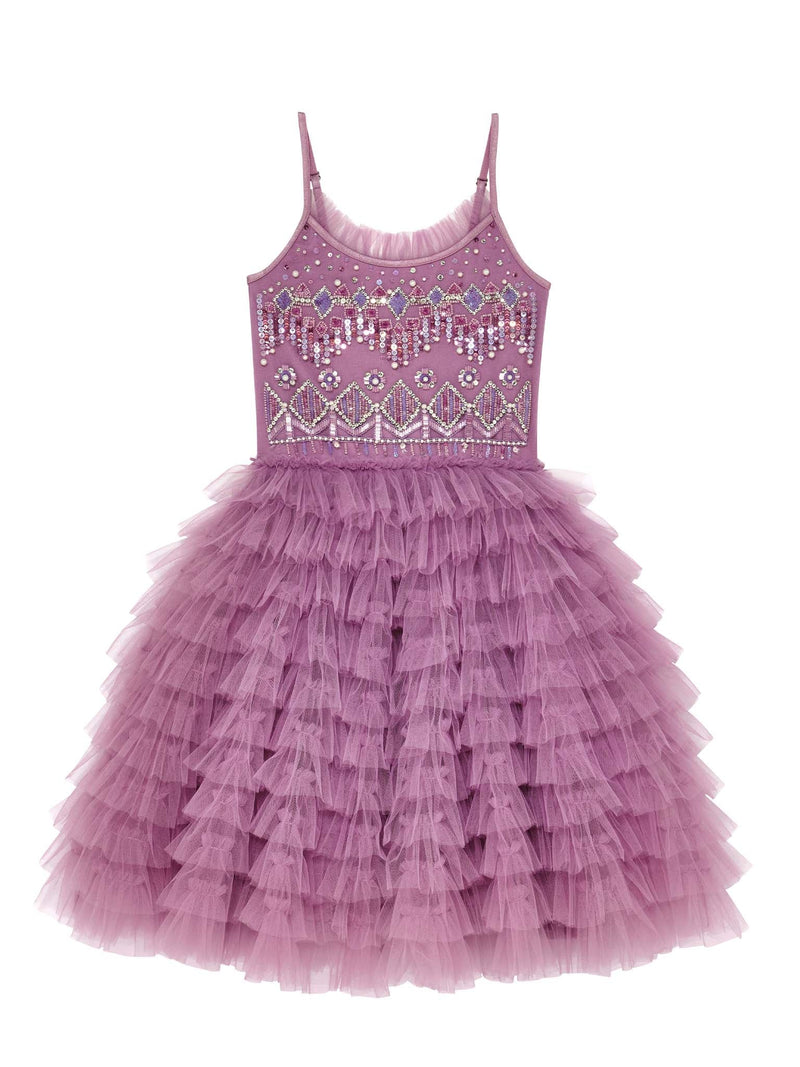 Velvet Vision Tutu Dress