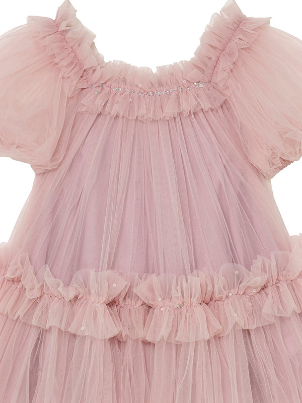 Fraisier Tulle Dress