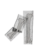 Bone Appetit Legings