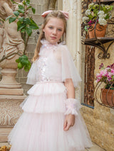 Aurora Veil Tutu Dress
