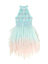 Stardom Tutu Dress