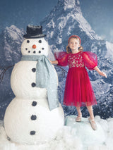 Merry More Tulle Dress