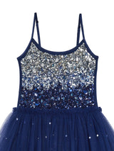 Winter Waltz Tutu Dress