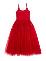 Winter Waltz Tutu Dress