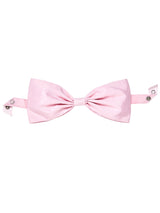 Bowlight Belle Choker