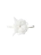 Bebe Ziegfeld Gift Set | Value $220
