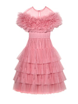 Ponderosa Tutu Dress
