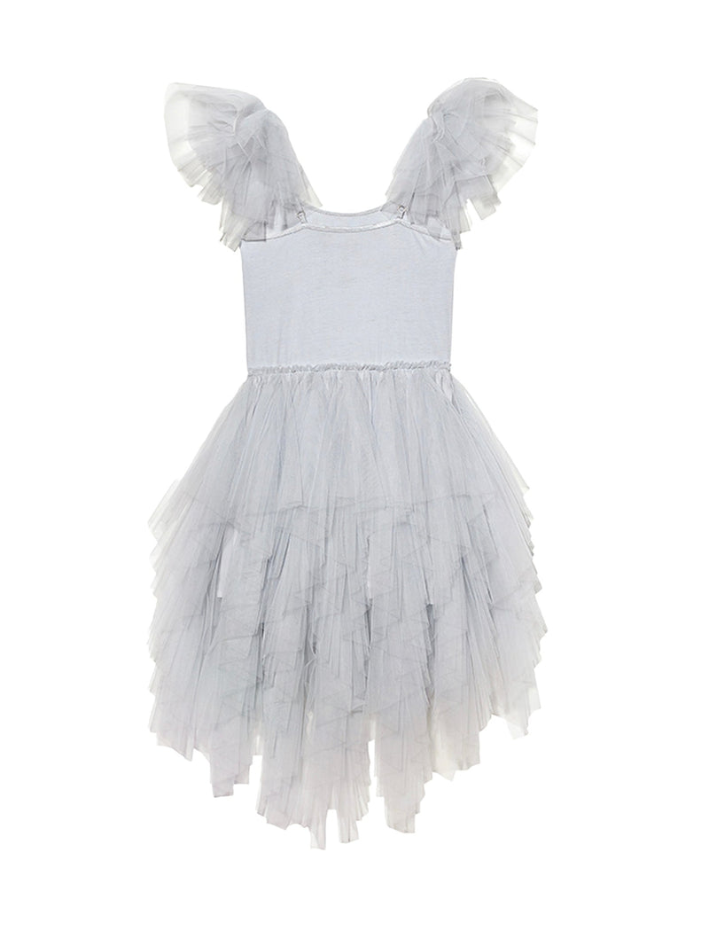 Gleaming Tutu Dress