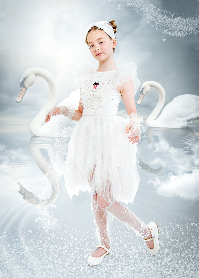 Swan Lake Dress – Tutu Du Monde