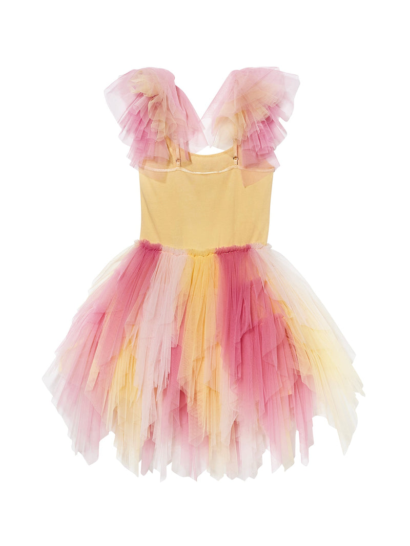 Sugar Rush Tutu Dress