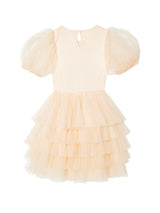 Trinket Tutu Dress