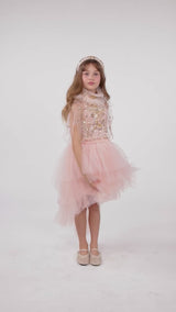 Chavanette Tutu Dress