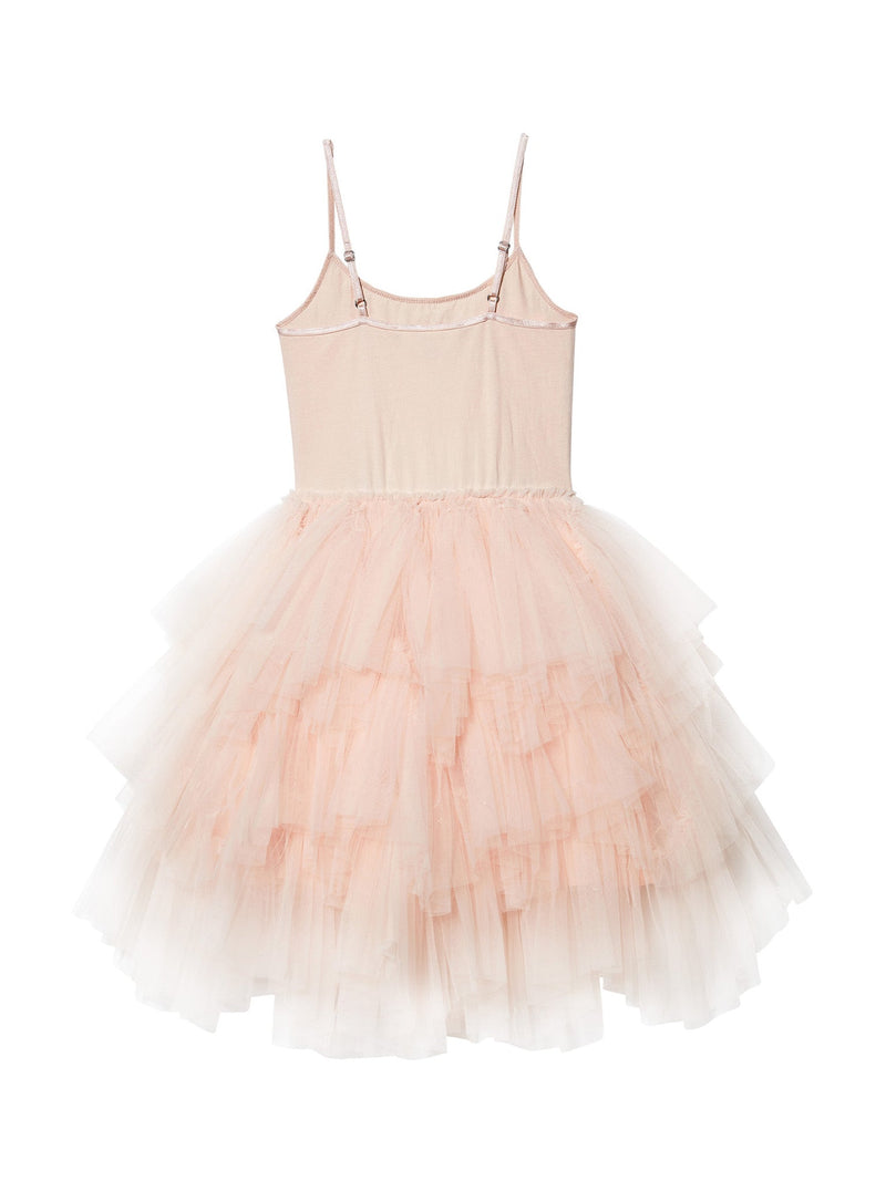 Songbird Tutu Dress